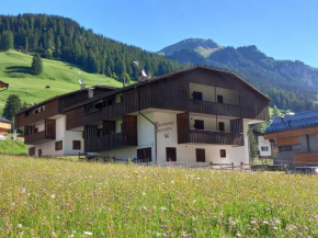 DOLOMITI GENZIANA